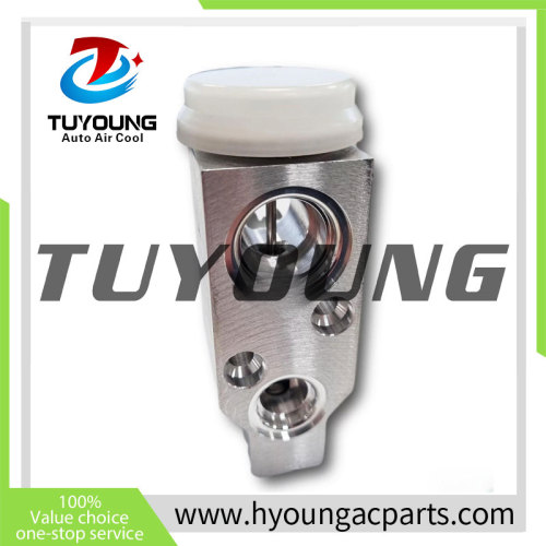 Auto Air Conditioning Expansion Valve for Ssangyong Actyon Rodius Stavic Kyron Rexton 6813008100 6813008100 68130 08100