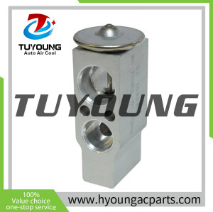 885150C080 T39323 759581 759628 Auto Air Conditioning Expansion Valve for Toyota Tundra