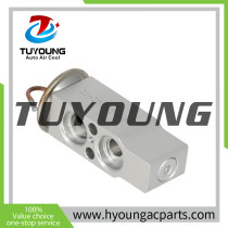 Auto Air Conditioning Expansion Valve for AGCO DT160-RT180A ND4475001031 ND4475001030 ND4475003540 72275588