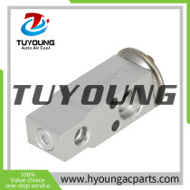 Auto Air Conditioning Expansion Valve for john deere AGCO DT160-RT180A ND4475001031 ND4475001030 ND4475003540 72275588