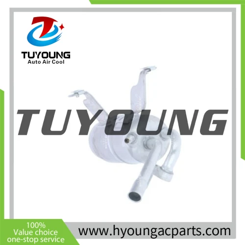1211222 1365483 1509857 2T1H-19E647-AE 2T1H-19E647-AF Auto Air Conditioning Receiver Drier for Ford Tourneo Connect for Ford Transit Connect