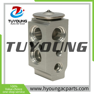 Auto Air Conditioning Expansion Hyundai Santa 976042B100 976262K000 97626B2000 EX 9730C T39366 4109 T39319 759620 759673 4752108 39319 39366 39565 3411501 3411609 217319 217366 TEM217319 TEM217366 3131216 3131216AM 2013952 189730 M503 M852 ACEV9730