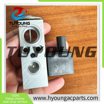 182029015 2228301105  2228300584 2228301205 2228300684 2228309005 2228308905 Auto Air Conditioning Expansion Valve MERCEDES benz W222 AIR