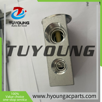 Auto Air Conditioning Expansion Valve Excavator truck series