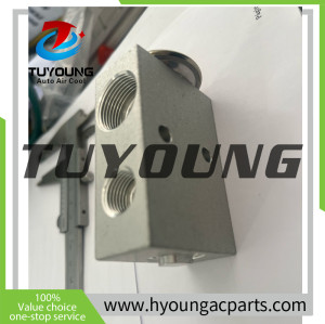 Auto Air Conditioning Expansion Valve Excavator truck series