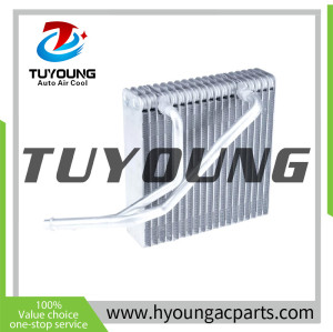 Auto Air Conditioning Evaporators for 1JE820103 Audi A3 Tt/ Volkswagen Golf, Bora (Tayashima) 250mm*337mm*140mm