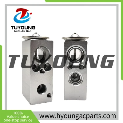 China factory supply Auto ac expansion valve Renault MEGANE III SCENIC III 7701209875 7701208762 7701060024