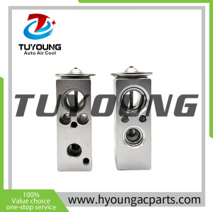 China factory supply Auto ac expansion valve Renault MEGANE III SCENIC III 7701209875 7701208762 7701060024
