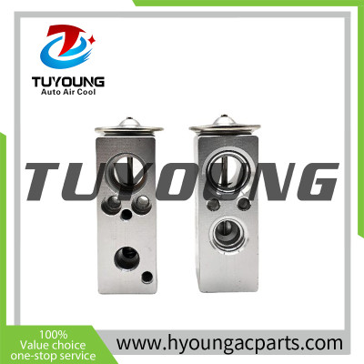China factory supply Auto ac expansion valve Renault MEGANE III SCENIC III 7701209875 7701208762 7701060024