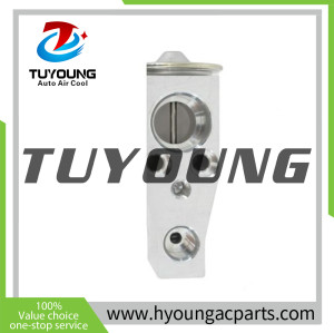 92200VW01A Auto Air Conditioning Expansion Valve for Nissan Quest