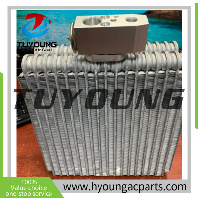 Auto Air Conditioning Evaporators with Expansion valve 272814M410 27-34007 for Nissan Bluebird Sylphy: FG10, QG10, QNG10, TG10 For Nissan Primera FOR Nissan Sunny QG13DE QG15DE QG18DD QG18DE QR20DD QR20DE QR25DD SR16VE SR20VE YD22DD