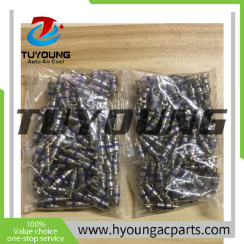 made in China auto ac valve cores Audi VW Volvo BMW 41015445 China factory supply