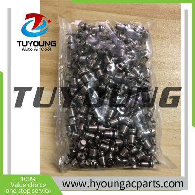 best price good quality RC470026 auto ac valve cores Renault Clio Peugeot 206, 200 pieces/ box