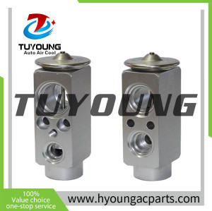 64116906268 64119178314 64 11 6 906 268 669044A Auto Air Conditioning Expansion Valve for BMW 7
