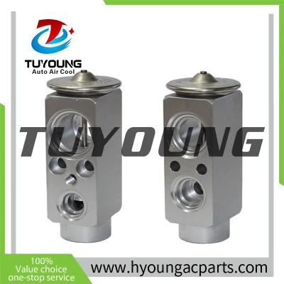 64116906268 64119178314 64 11 6 906 268 669044A Auto Air Conditioning Expansion Valve for BMW 7