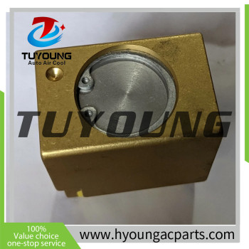 Auto Air Conditioning EXPANSION VALVE for VW Golf Passat Vw Golf 2010 Audi A3 TXX3944 662975a 52196590