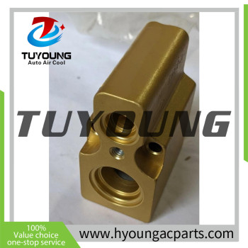Auto Air Conditioning EXPANSION VALVE for VW Golf Passat Vw Golf 2010 Audi A3 TXX3944 662975a 52196590