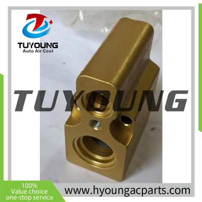 Auto Air Conditioning EXPANSION VALVE for VW Golf Passat Vw Golf 2010 Audi A3 TXX3944 662975a 52196590