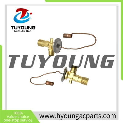 Auto Air Conditioning Expansion Valve 31-1001