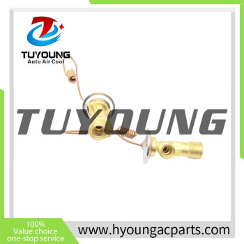 Auto Air Conditioning Expansion Valve 31-1001