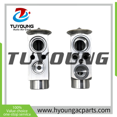 TUYOUNG produce auto AC expansion valve BMW X5 X6 II 64119187630 6 968 202 64116968202 64119187630 9 187 630  8UW 351 234-621