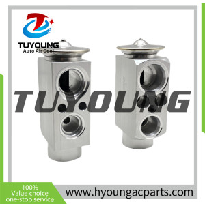 TUYOUNG produce auto AC expansion valve BMW X5 X6 II 64119187630 6 968 202 64116968202 64119187630 9 187 630  8UW 351 234-621