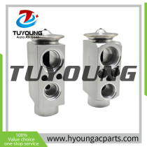 TUYOUNG produce auto AC expansion valve BMW X5 X6 II 64119187630 6 968 202 64116968202 64119187630 9 187 630  8UW 351 234-621