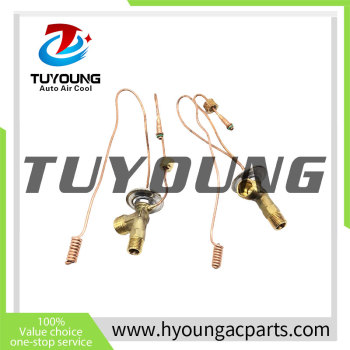 Auto AC expansion valves for MITSUBISHI FV515 TRUCK ME733514