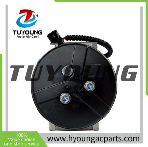 Sanden 7H13 Auto AC Compressor for Case  47805303 47806674 47863041