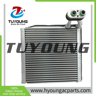971391Y700 97139-1Y700 Auto Air Conditioning Evaporators 235*35*248 mm for Kia Morning
