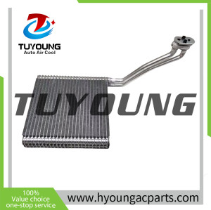 LHD 2525243 EB3Z19860F 19D710BE Auto Air Conditioning Evaporators Mazda BT50 250*250*45 mm for Ford Ranger