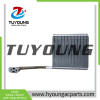 2525243 EB3Z19860F 19D710BE Auto Air Conditioning Evaporators 250*250*45 mm for Ford Ranger