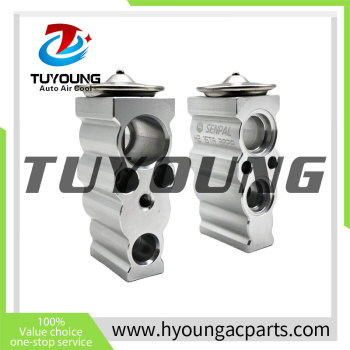Auto Air Conditioning EXPANSION VALVE For  The front nissan urvan bus expansion valve  NV350 CARAVAN	2012/06 - E26	270A