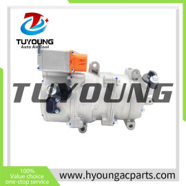 air conditioning Compressor  for Dongfeng ES600 308V WX-8103020V