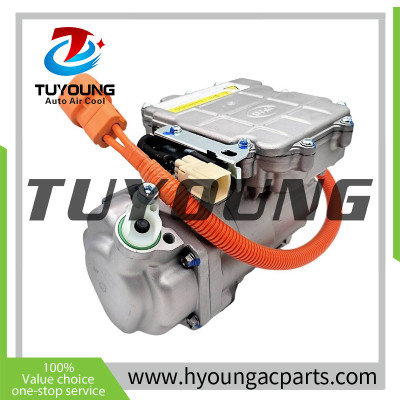 Auto AC Compressor for Dongfeng E70 V510010J-G0123 WX-8103020B 320V