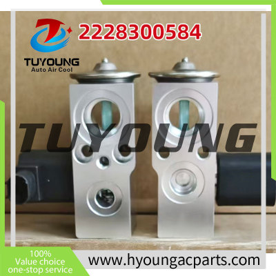 2228300584 2228300684 2228309005 Auto Air Conditioning Expansion Valve for Domestic version  2017 Mercedes-Benz S500L CGI	V8 3412011 2228300584 2228301105 180533