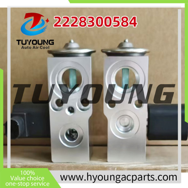 2228300584 2228300684 2228309005 Auto Air Conditioning Expansion Valve for Domestic version  2017 Mercedes-Benz S500L CGI	V8 3412011 2228300584 2228301105 180533
