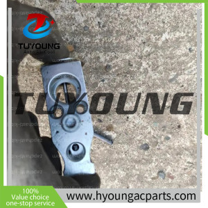 BNEYM100AA1 Auto Air Conditioning Expansion Valve for Chery Tiggo