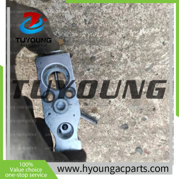 BNEYM100AA1 Auto Air Conditioning Expansion Valve for Chery Tiggo