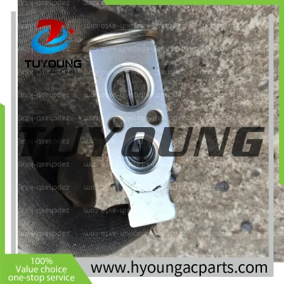 BNEYM100AA1 Auto Air Conditioning Expansion Valve for Chery Tiggo