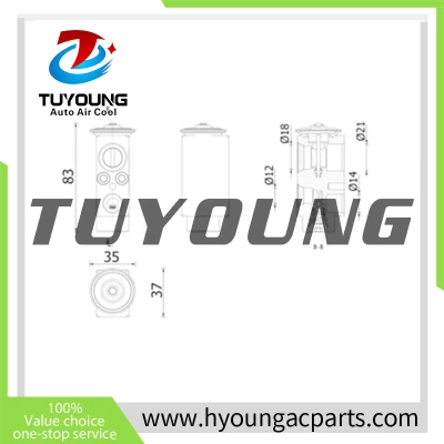 Auto Air Conditioning Expansion Valve for VOLVO FM FM 370 Truck Tractor 78537076