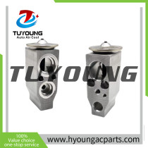 27210BF10A Auto Air Conditioning Expansion valve for Nissan Juke