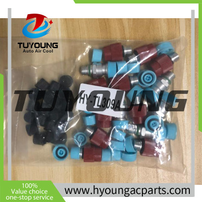 HY-TL309A Car air Conditioner tools Tool Set AC Line Disconnect Tool including valve core, caps