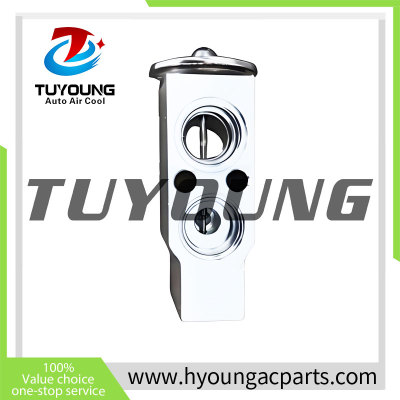 Auto Air Conditioning Expansion Valve for  Hyundai R80-7 Excavator 11N6-90800  11N690800