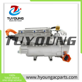 Auto AC Compressor  for  BYD Qin EV HA2EM-8103020