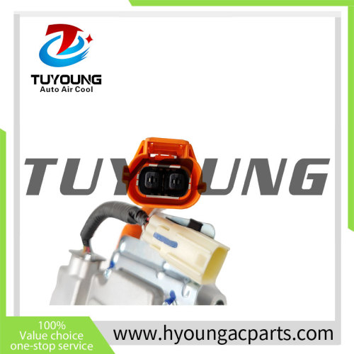 Auto AC Compressor  for  BYD Qin EV HA2EM-8103020