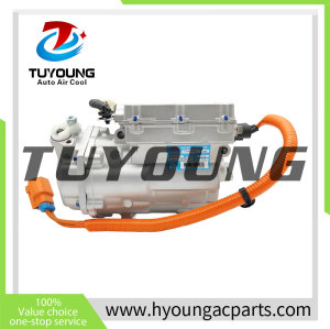 Auto AC Compressor  for  BYD Qin EV HA2EM-8103020