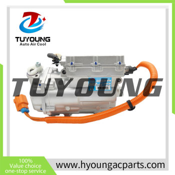 Auto AC Compressor  for  BYD Qin EV HA2EM-8103020