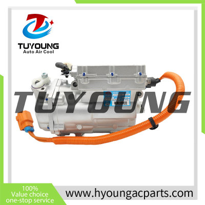 Auto AC Compressor  for  BYD Qin EV HA2EM-8103020