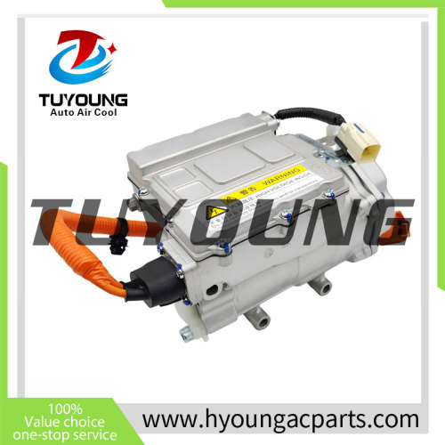 Auto AC Compressor  for  BYD Qin EV HA2EM-8103020